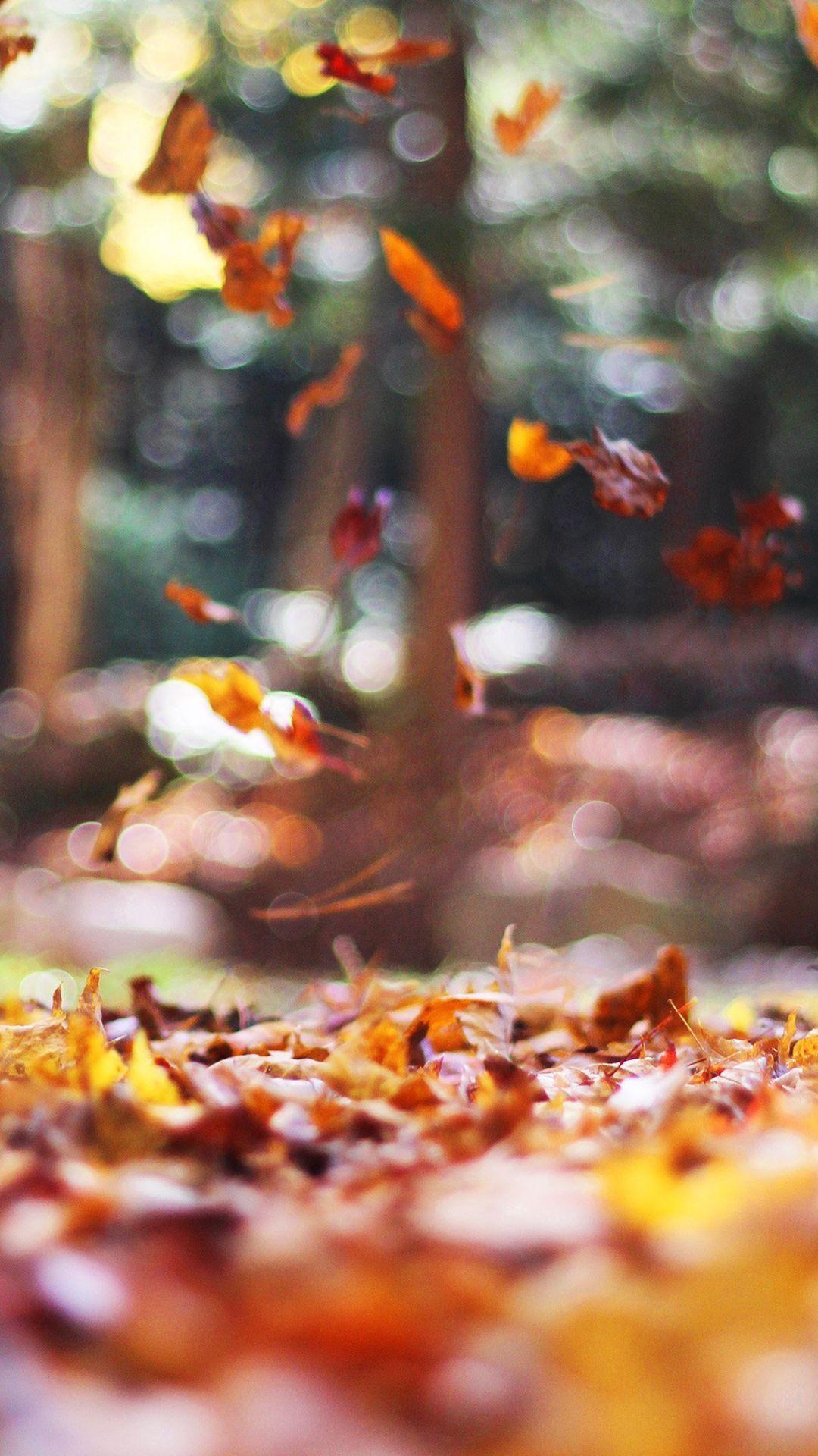 1080x1920 Wallpaper Collection : +37 Free HD fall iphone wallpaper