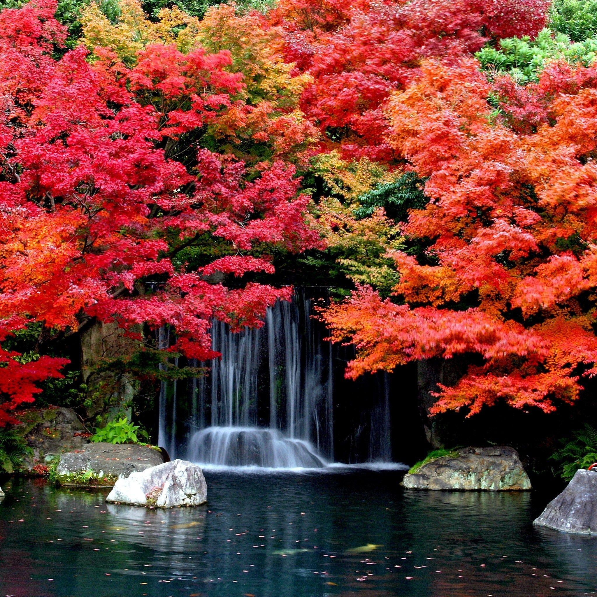 2048x2048 Free download Cool Wallpaper with Autumn Leaves and Waterfall