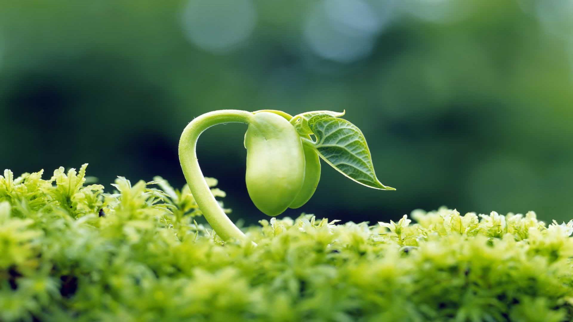 1920x1080 Hd Wallpaper Photographers Wallpaper Nature Photography