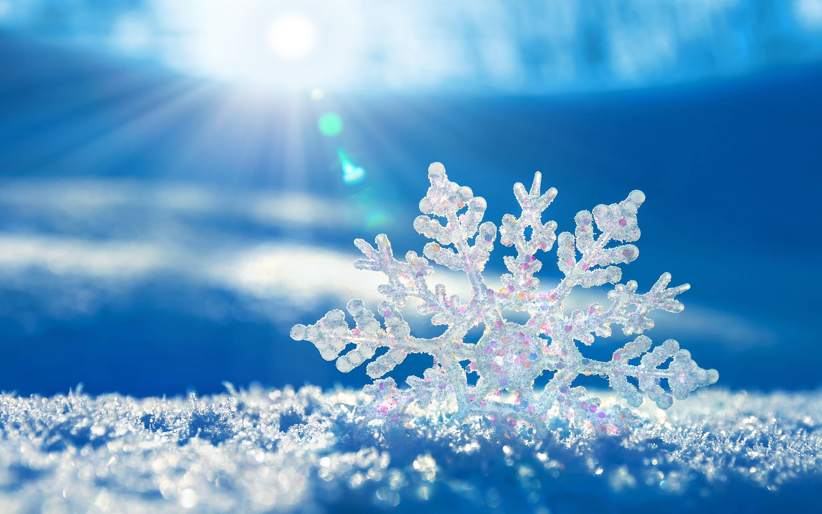 2880x1800 Real Snowflake Photography Wallpaper 3