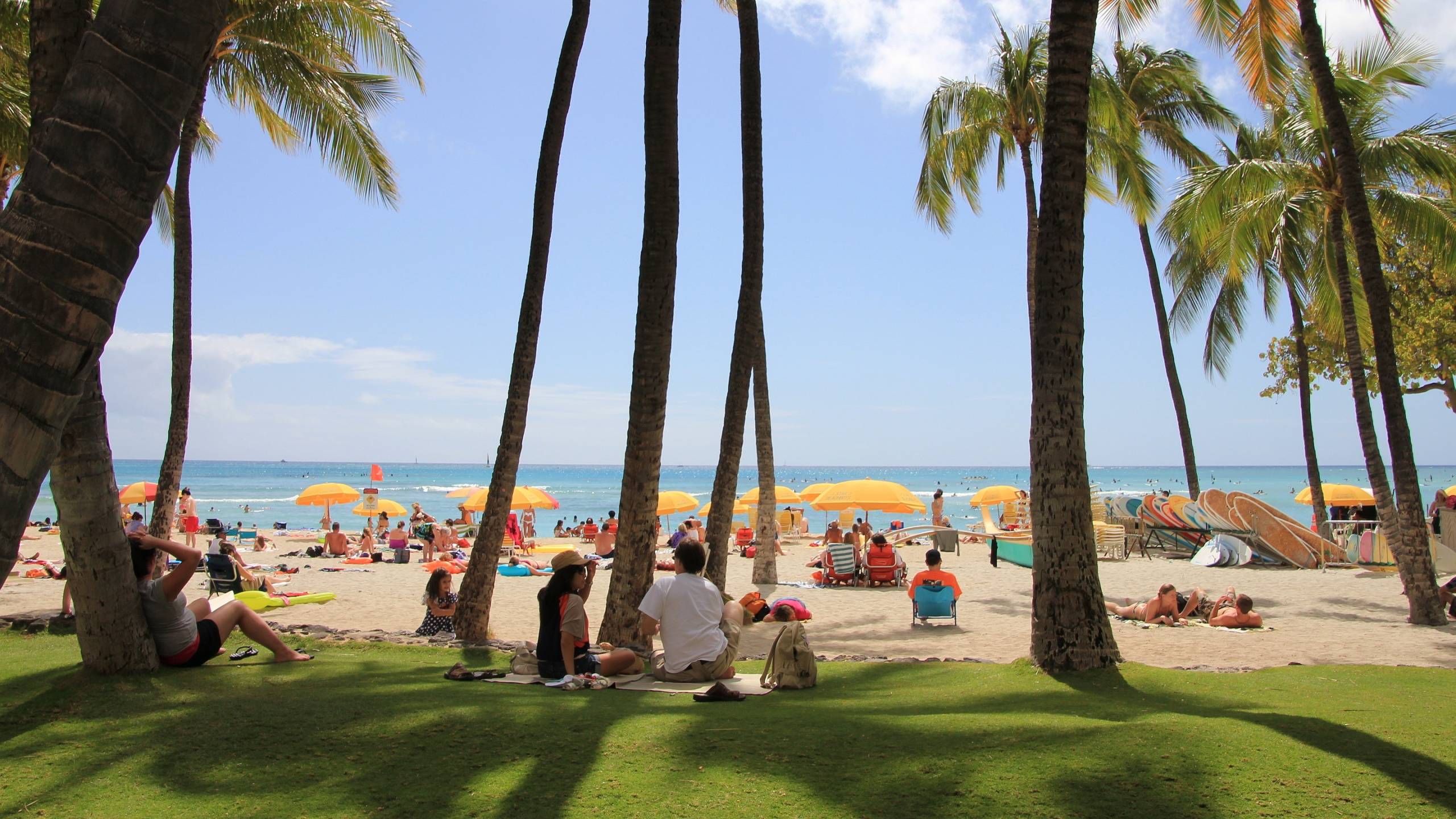 2560x1440 Waikiki Beach Wallpaper