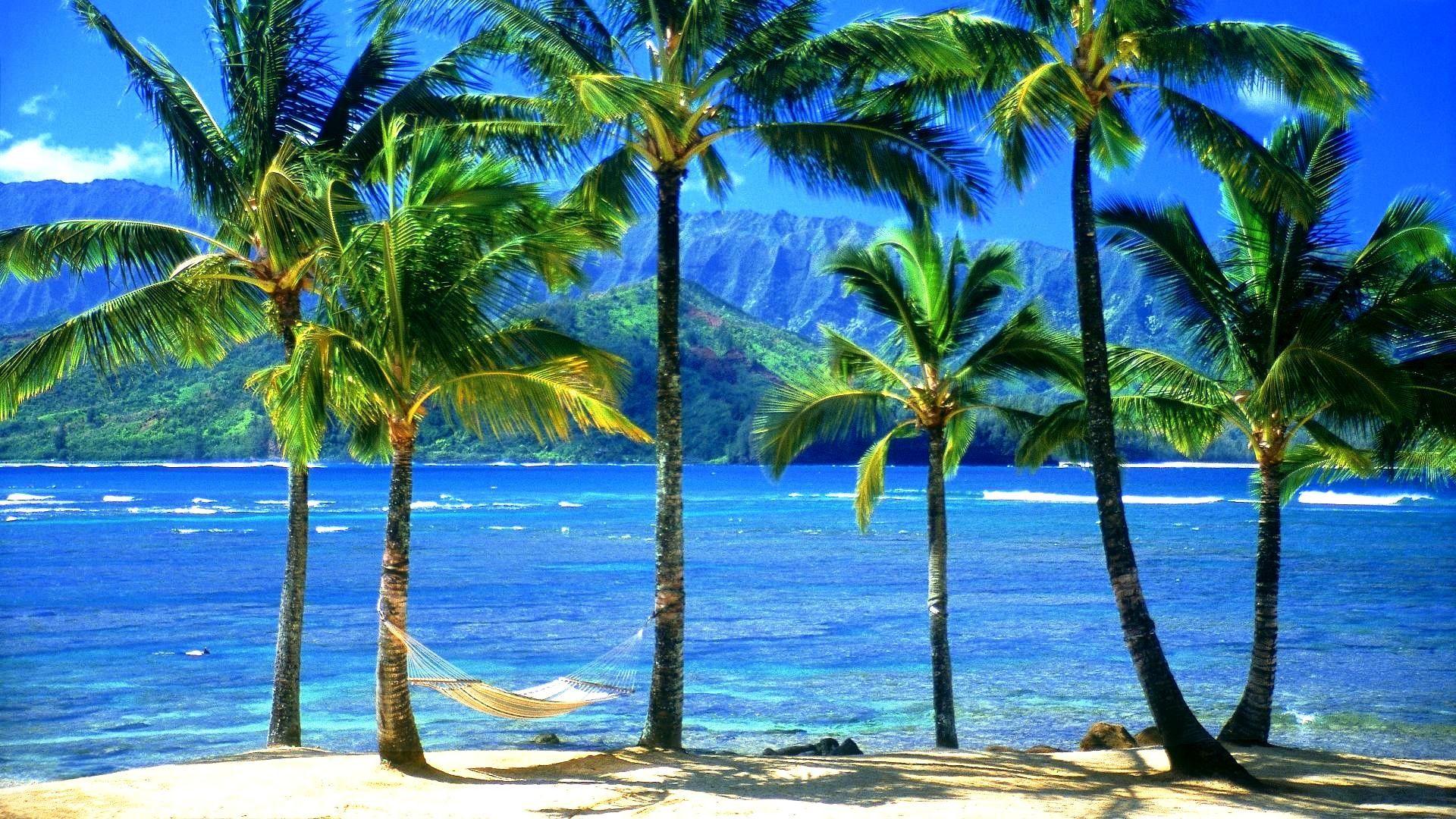 1920x1080 Waikiki Beach Wallpaper