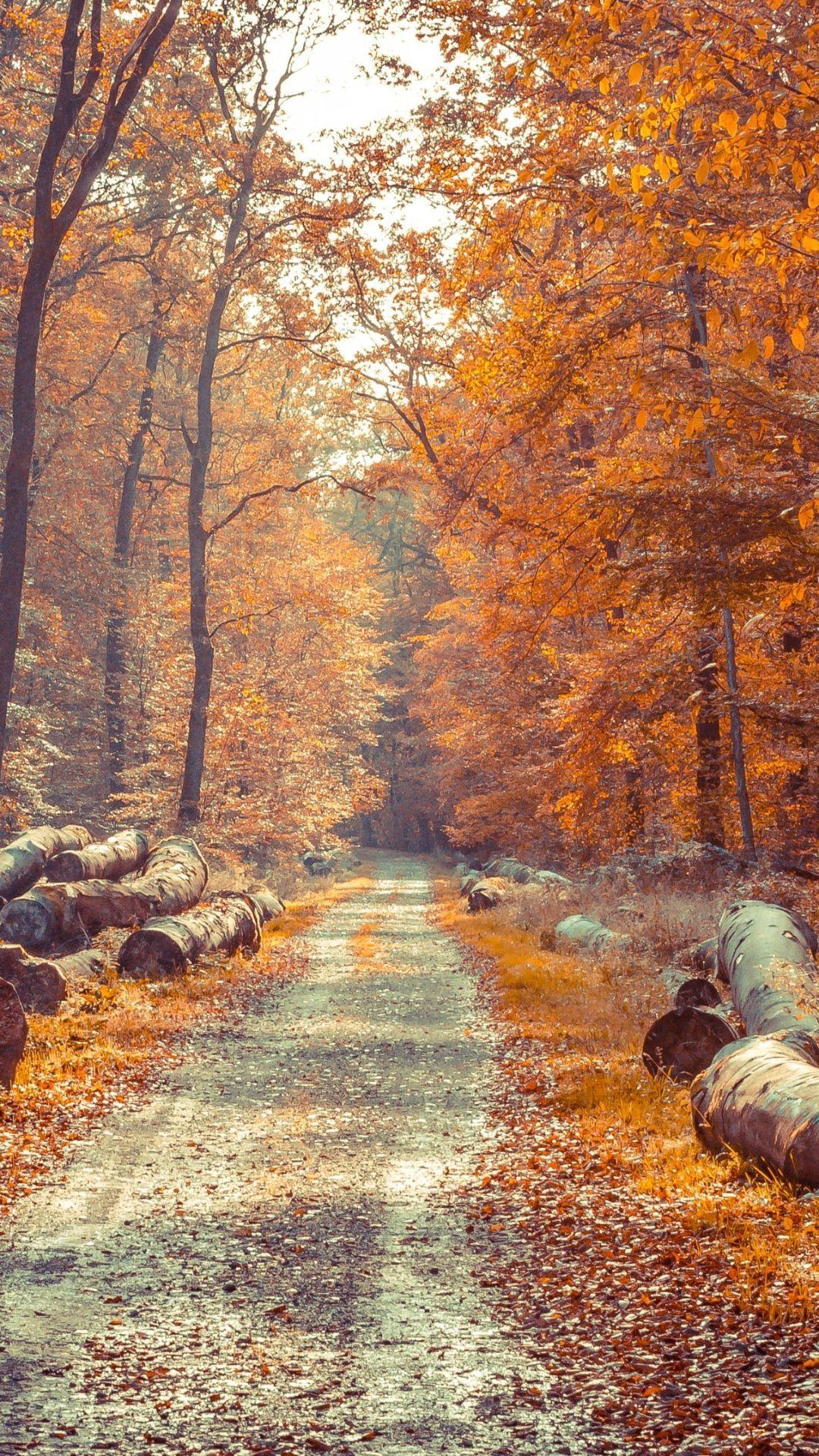 1080x1920 Aesthetic Fall Wallpaper HD Kecbio