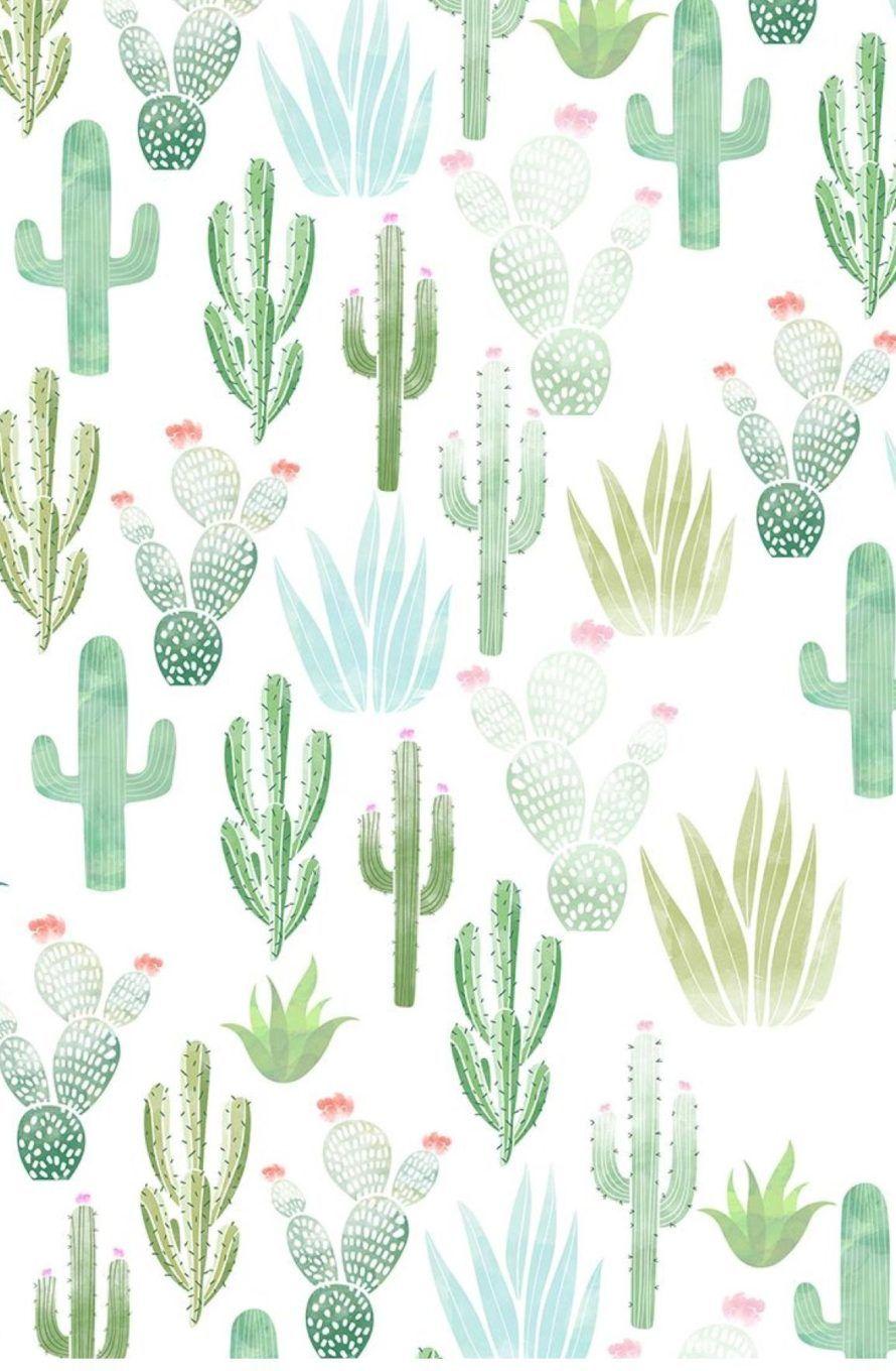 890x1360 Summer iPhone Background Pattern
