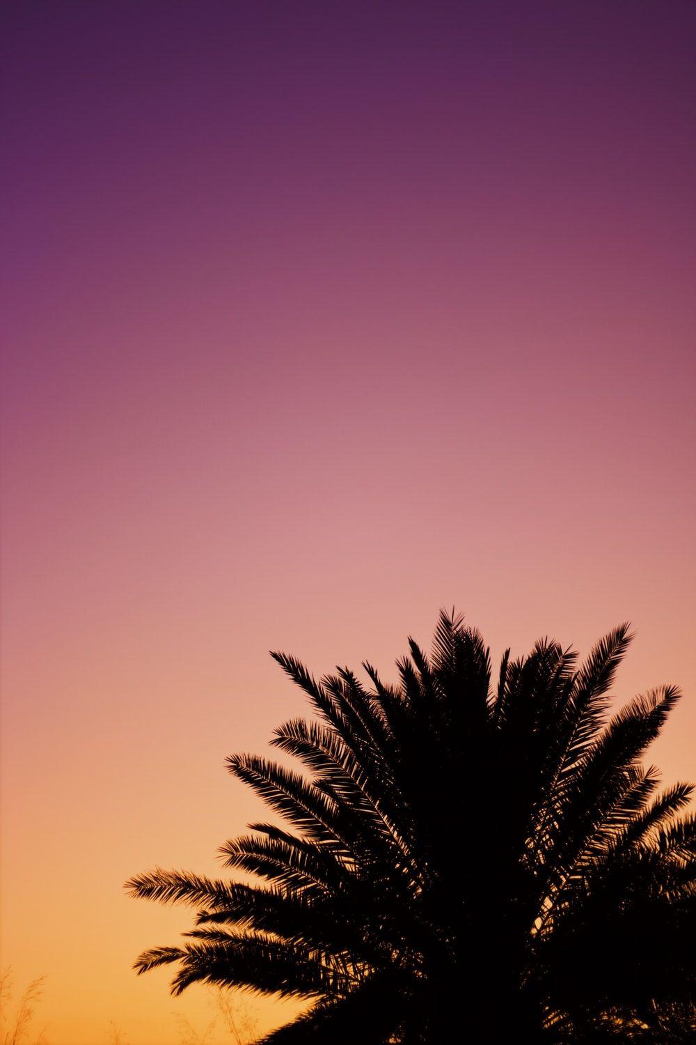 1000x1500 iPhone 6s Wallpaper: Free HD Download [HQ]
