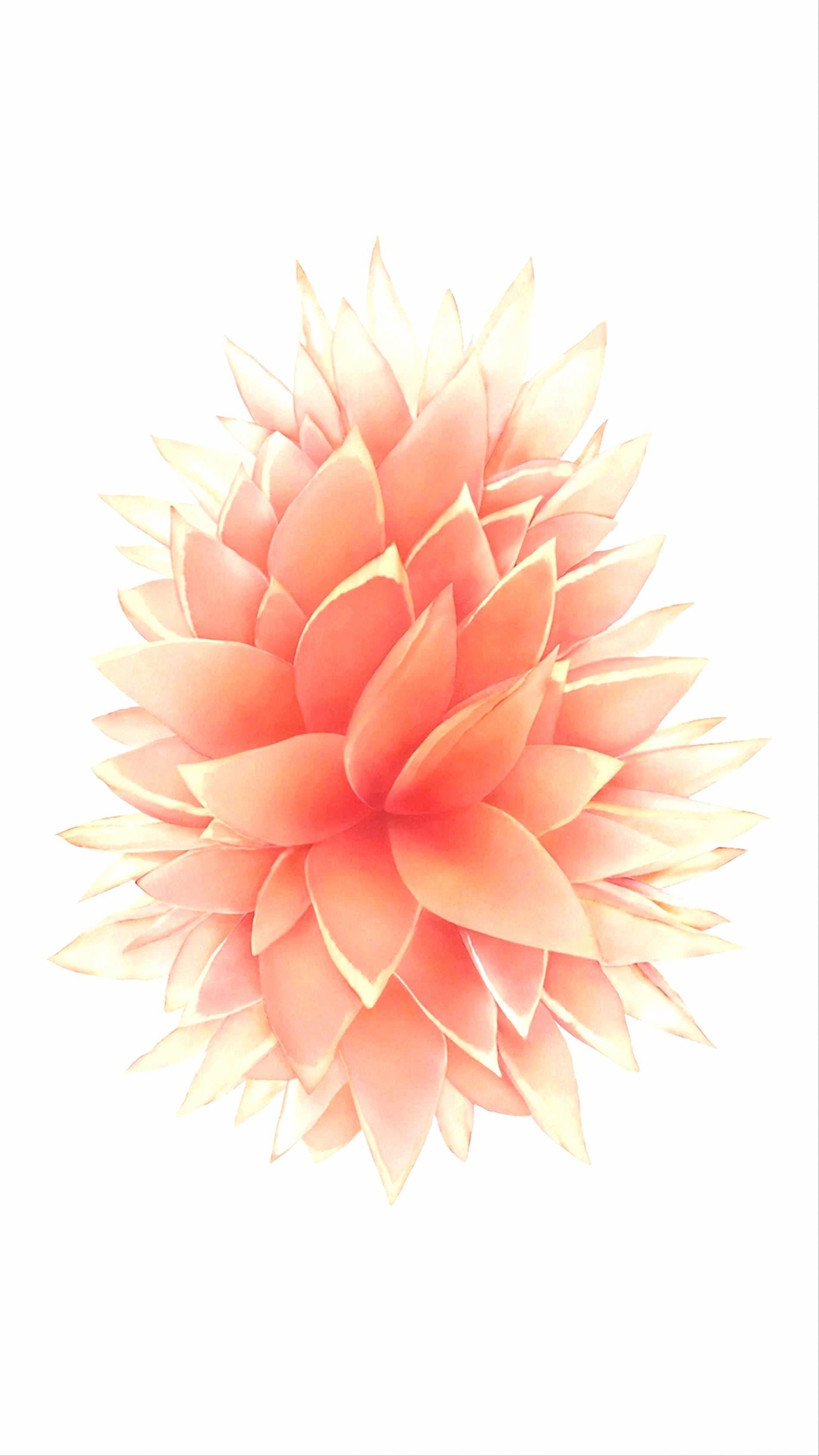 1899x3377 Gold iPhone 6s Wallpaper
