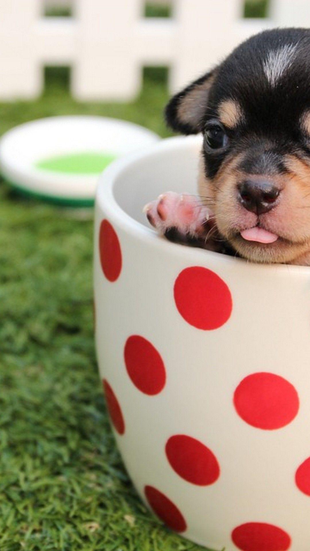 1080x1920 iPhone X Wallpaper Cute Puppies Picture 3D iPhone Wallpaper