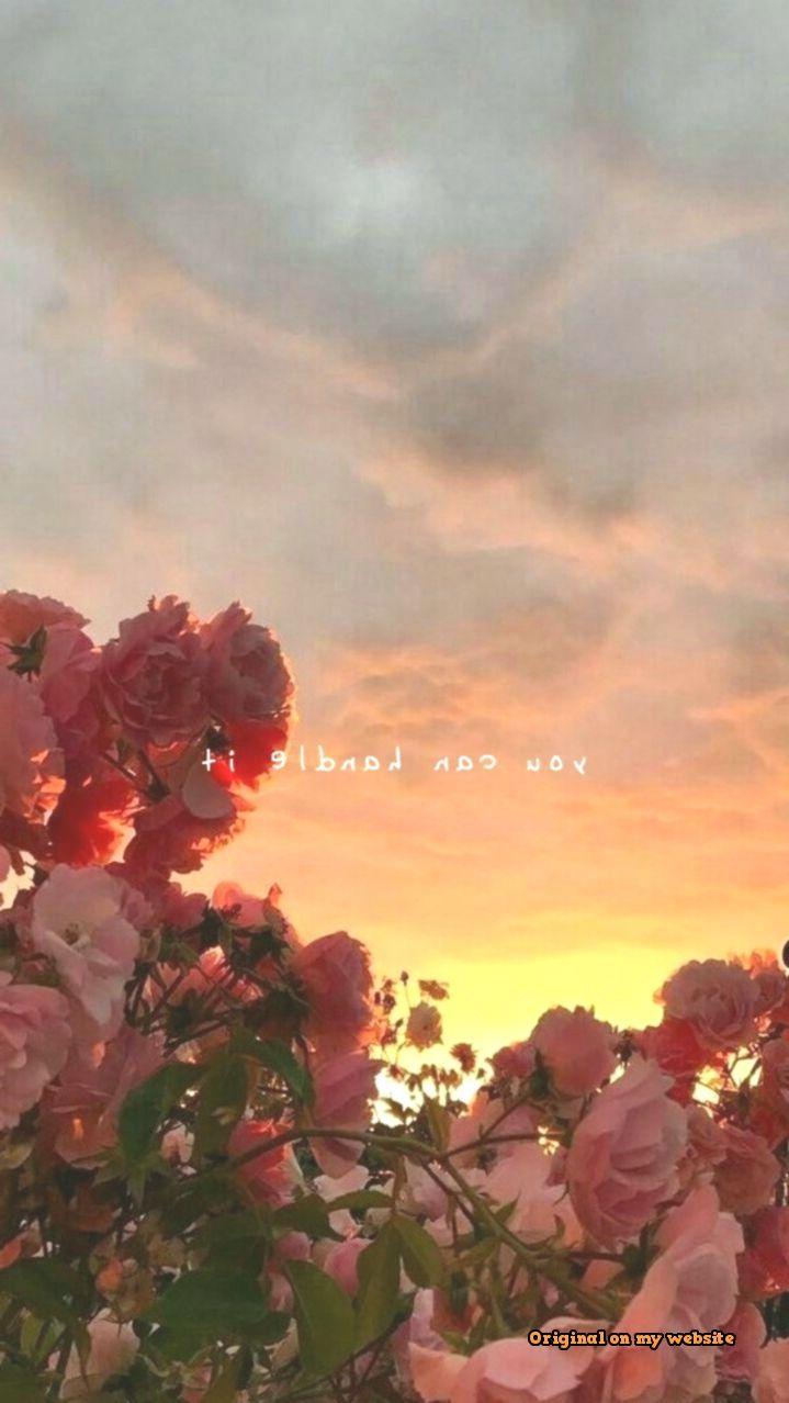 719x1278 Aesthetic Flower Wallpaper