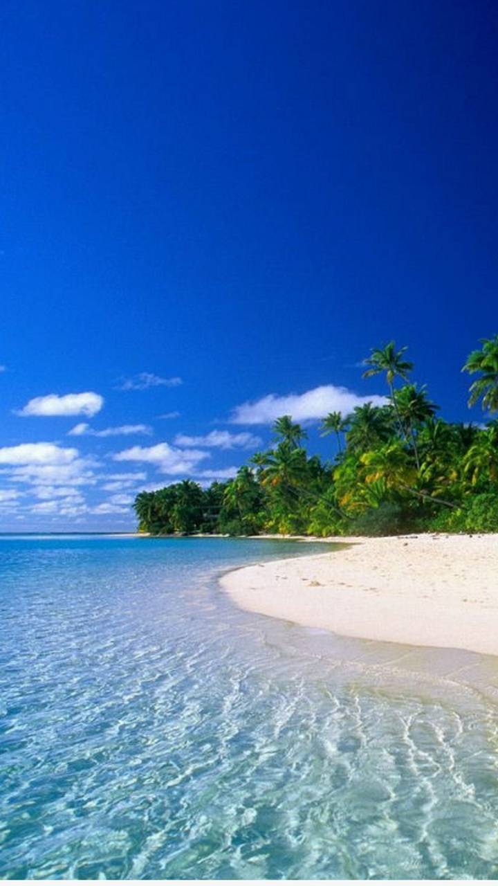 720x1280 Caribbean beach wallpaper