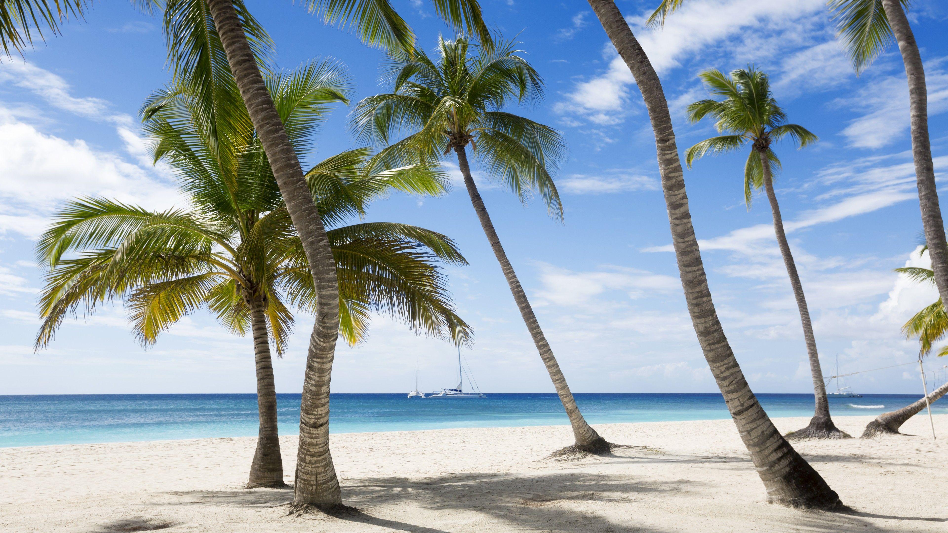 3840x2160 Wallpaper Jamaika, 5k, 4k wallpaper, The Caribbean, beach, palms, sky, travel, tourism, Travel