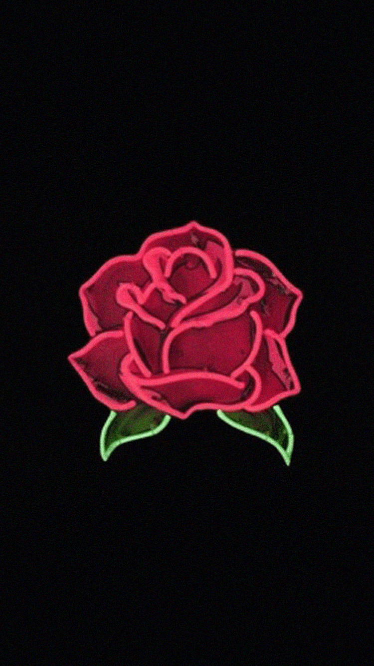 750x1334 Red Rose Aesthetic Wallpaper