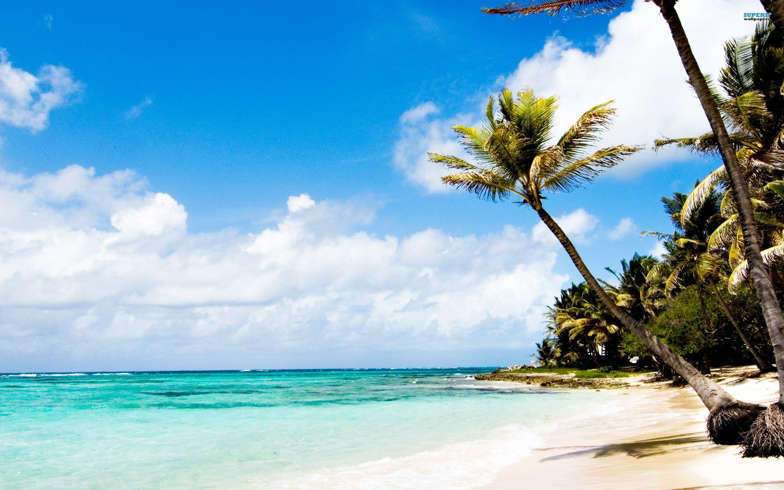 2560x1600 Free download Caribbean Beach Wallpaper Background 115k81