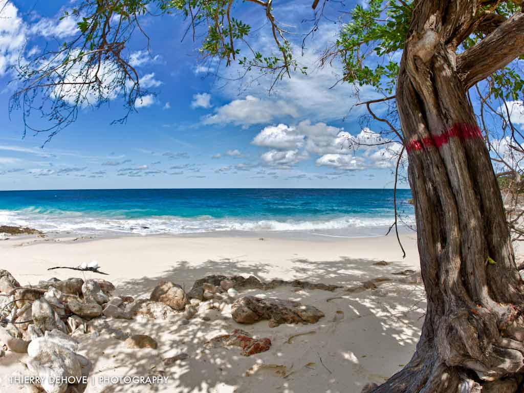 1024x768 Beaches Wallpaper Free