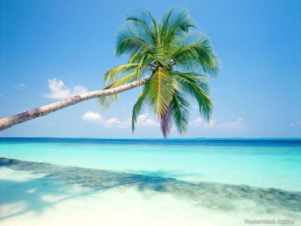 1024x768 Cool Caribbean Beach Wallpaper Desktop Background