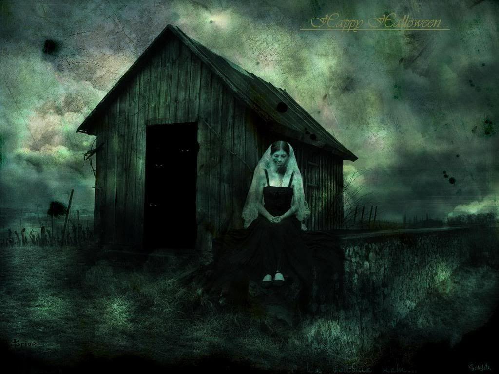 1024x768 Nền Poltergeist.  Poltergeist https://wallpaperaccess.com/full/3344694.jpg