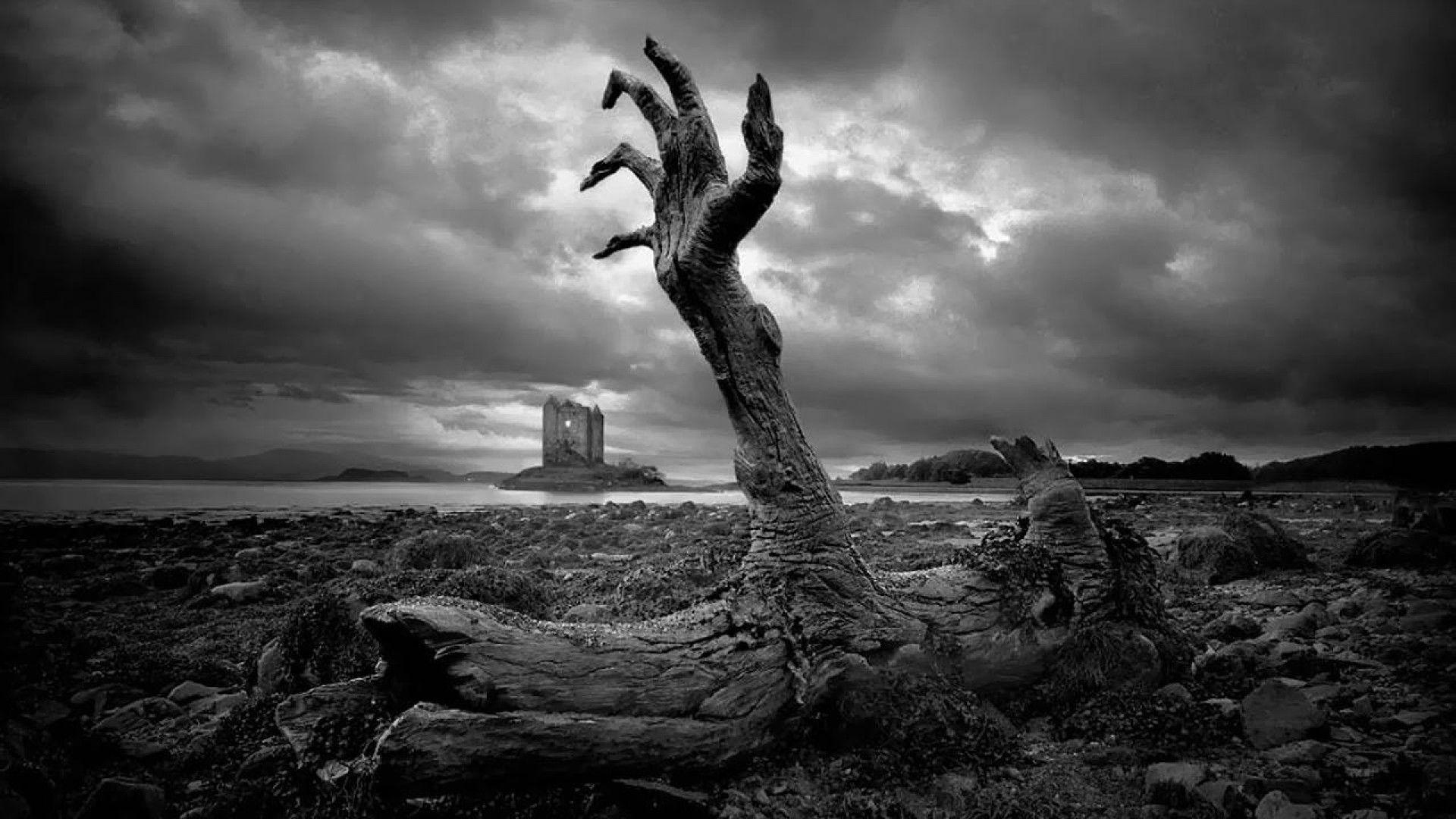 1920x1080 Free download Black And White Zombie wallpaper 219791 [1920x1080] for your Desktop, Mobile & Tablet. Explore Zombie HD Wallpaper 1080p. Zombie Wallpaper Hd, Zombie Background Wallpaper, Awesome Zombie Wallpaper