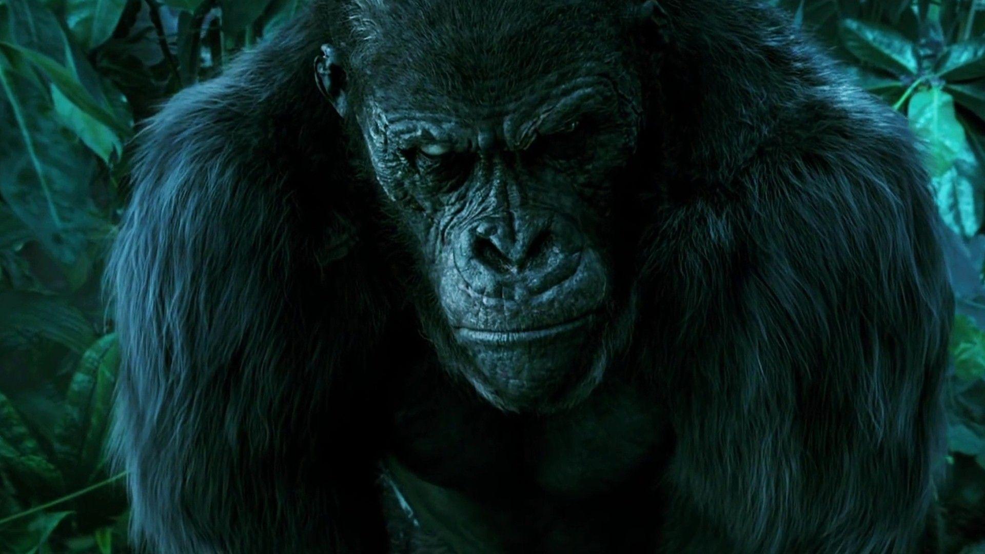 1920x1080 Tarzan Wallpaper