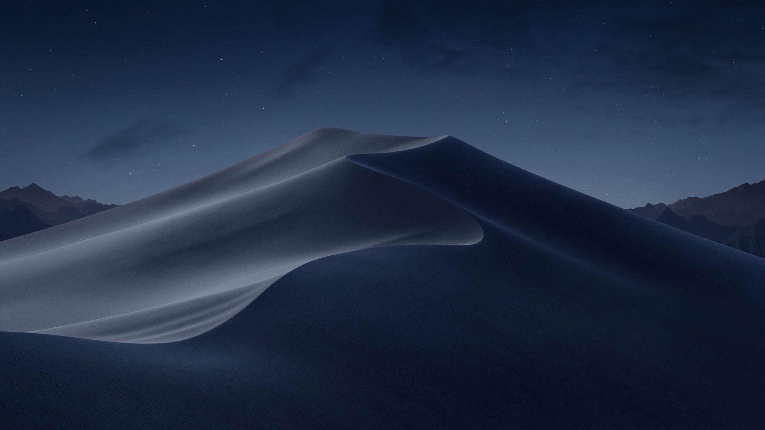 2560x1440 Macos Mojave Night Mode Stock 1440P Resolution HD 4k