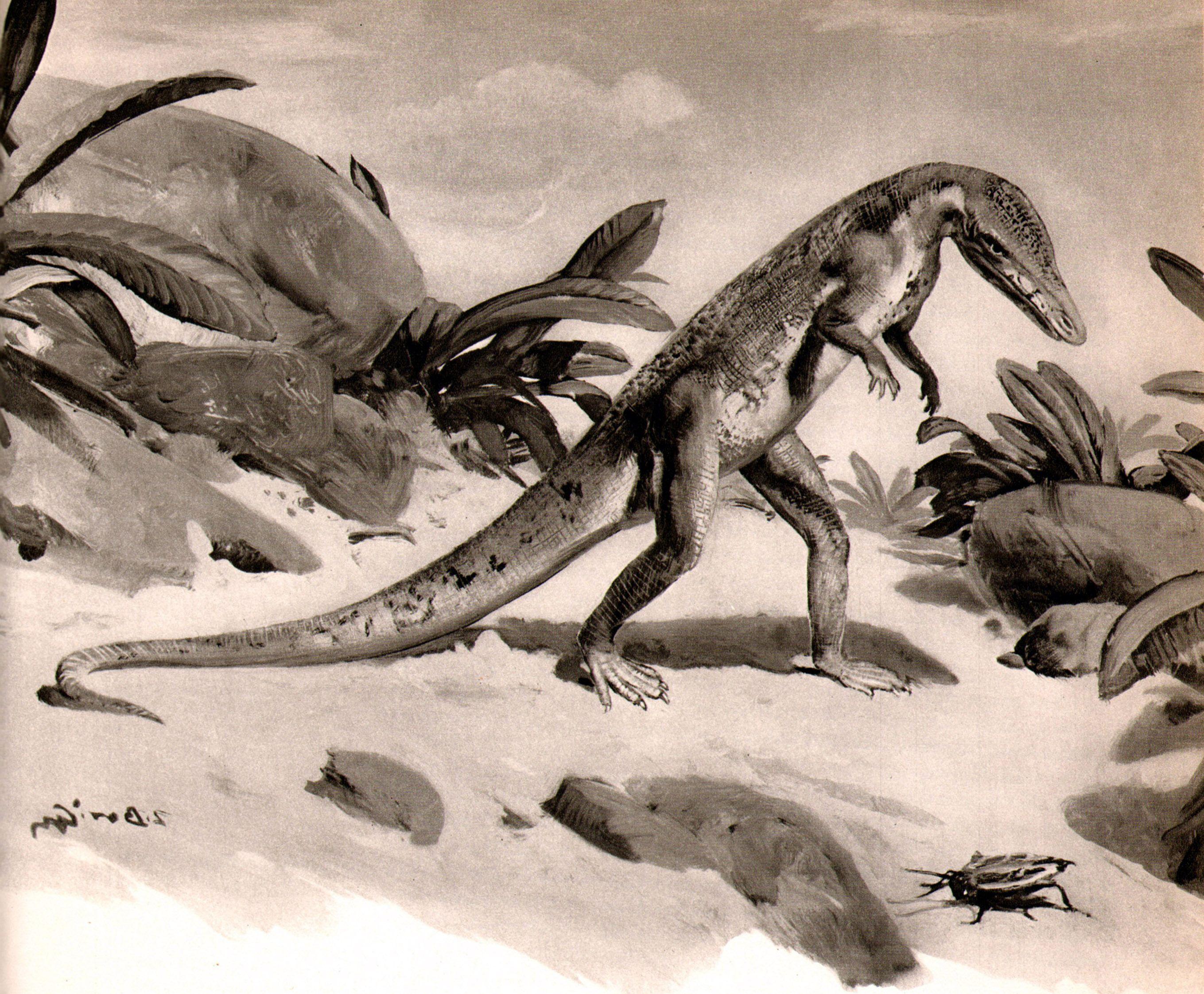 2718x2243 Wallpaper : illustration, dragon, Japanese Art, ART, velociraptor