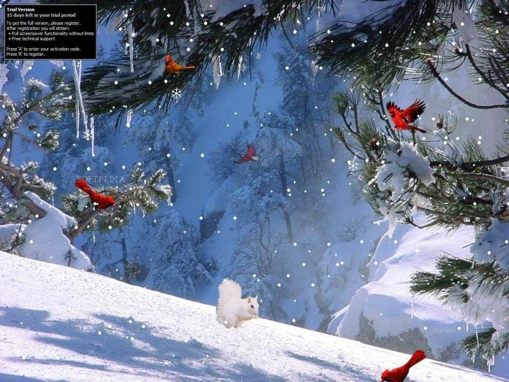 1024x768 Found on Bing from wallpapercave.com. Winter wallpaper, Free