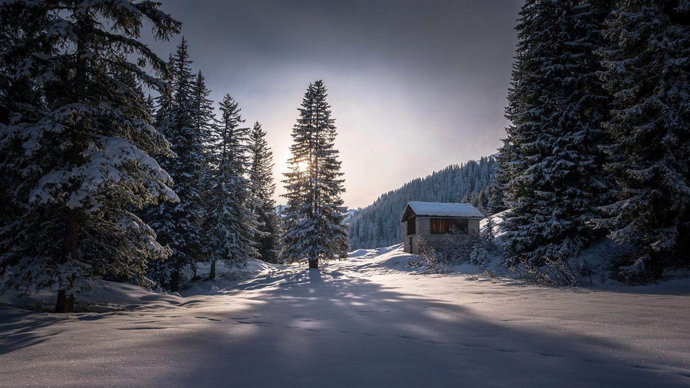 1366x768 Wallpaper Winter, hut, trees, thick snow, cold 1920x1440 HD