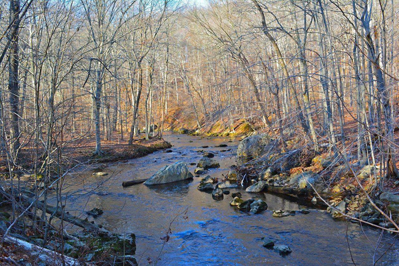 1280x853 Photos USA Ridley Creek State Park, Pennsylvania Nature Autumn