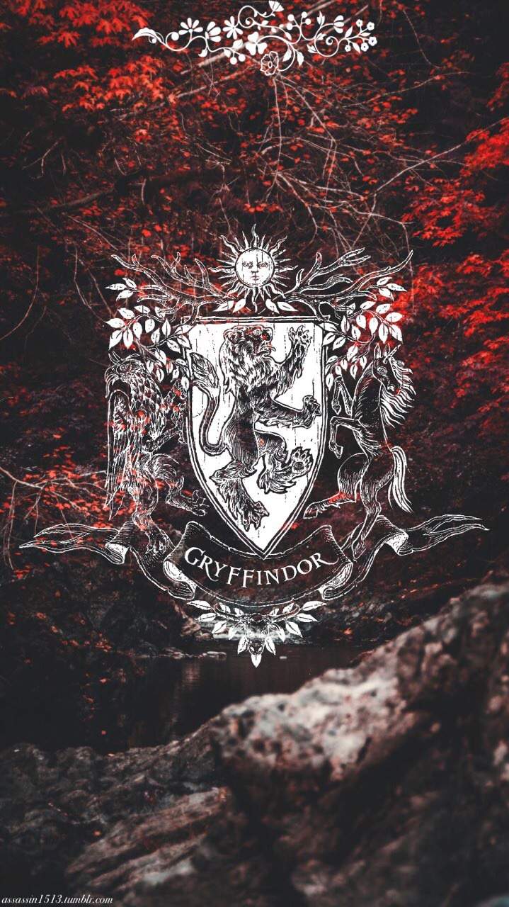 719x1280 Harry Potter iPhone Wallpaper. Harry Potter Amino