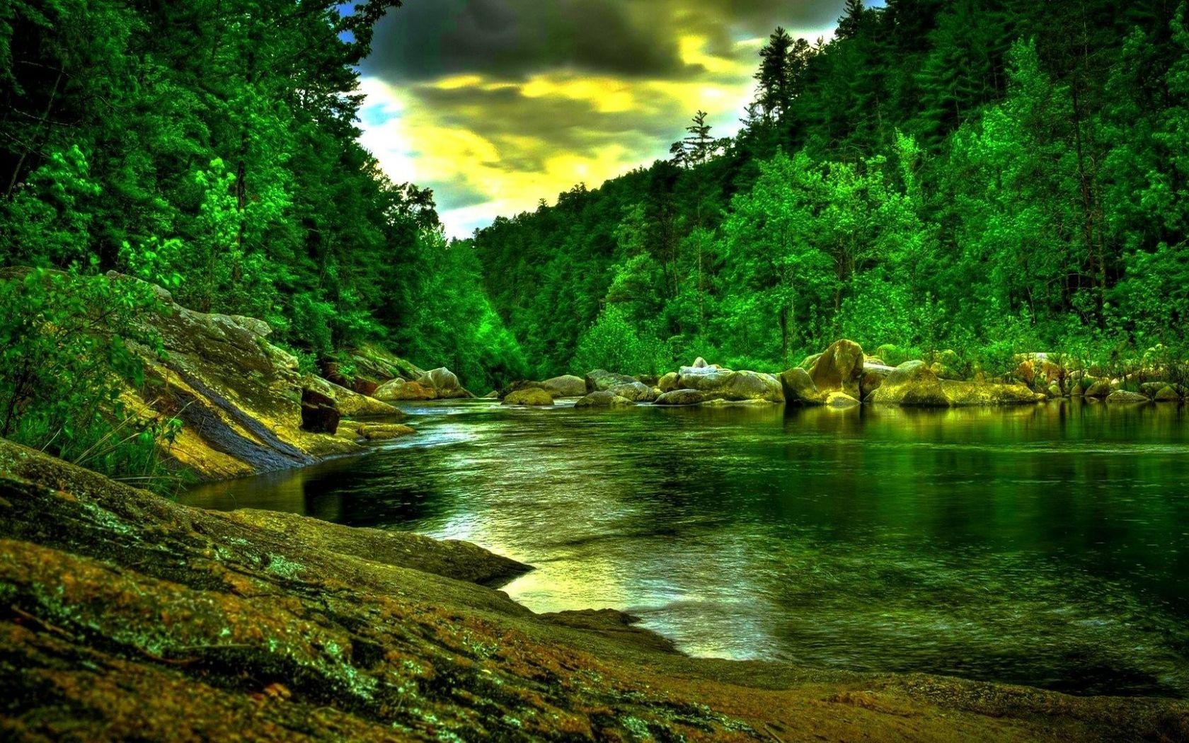 1680x1050 Free download Desktop Wallpaper HD Full Screen Nature Wallpaper