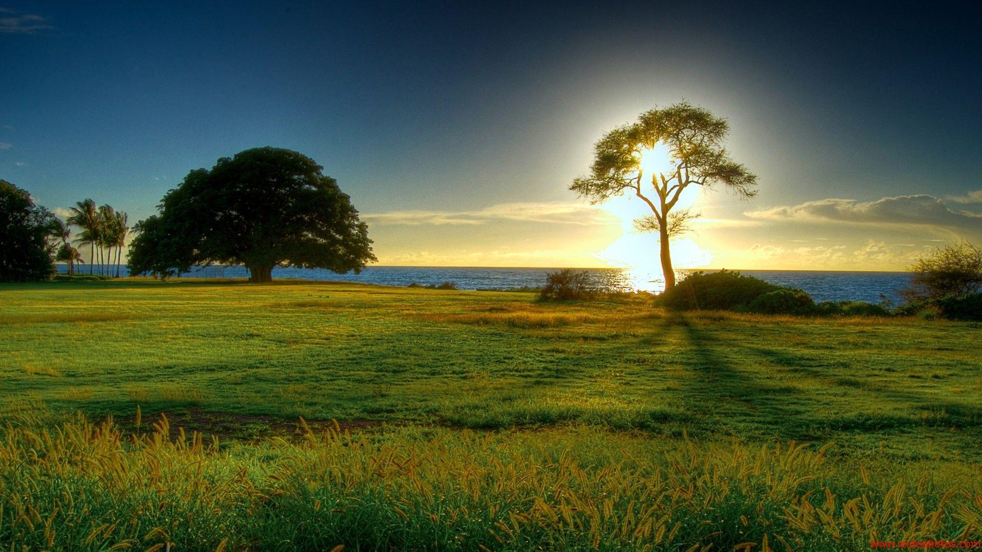 1920x1080 Desktop Background Nature