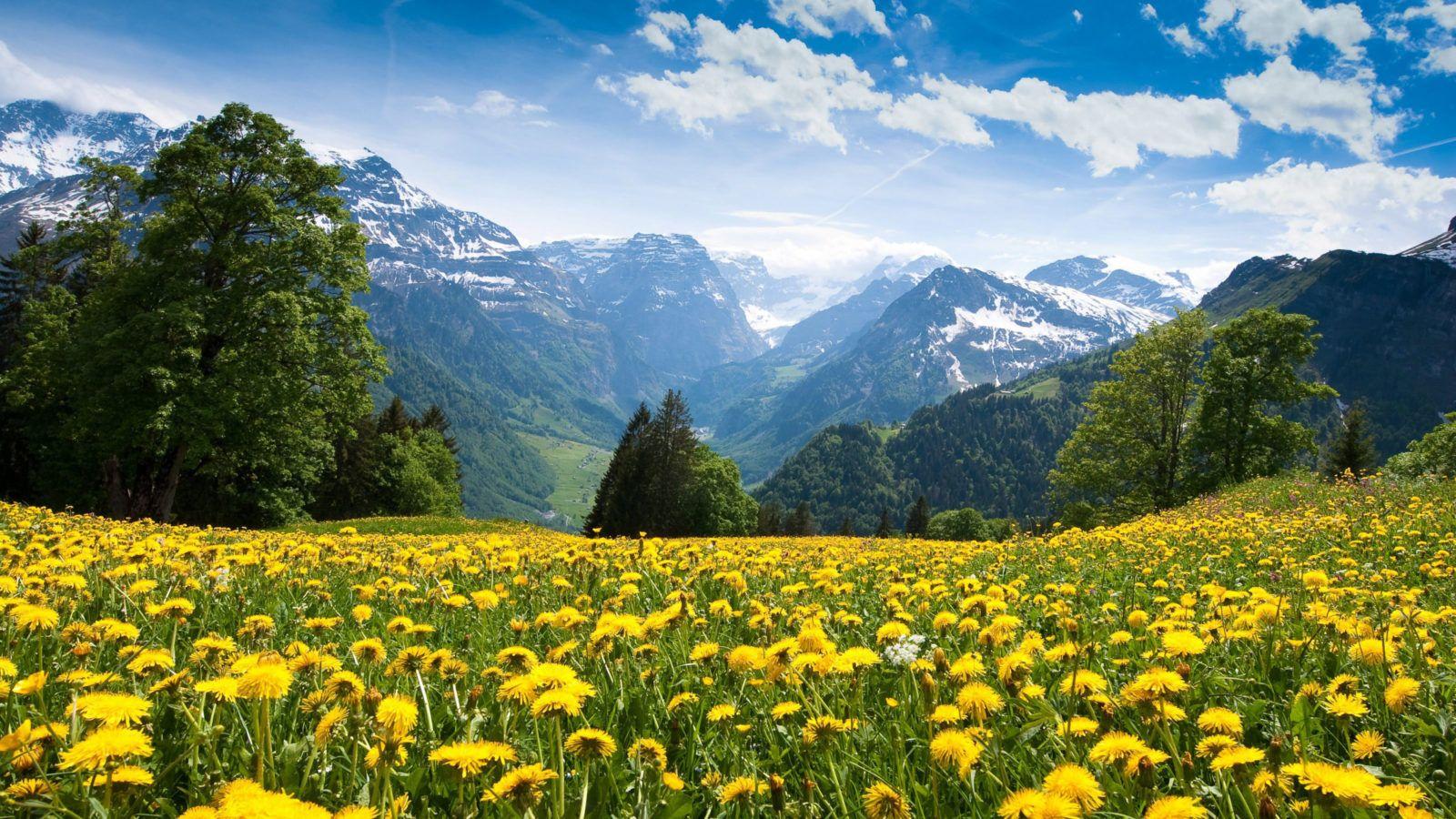 1600x900 Natural Desktop Background