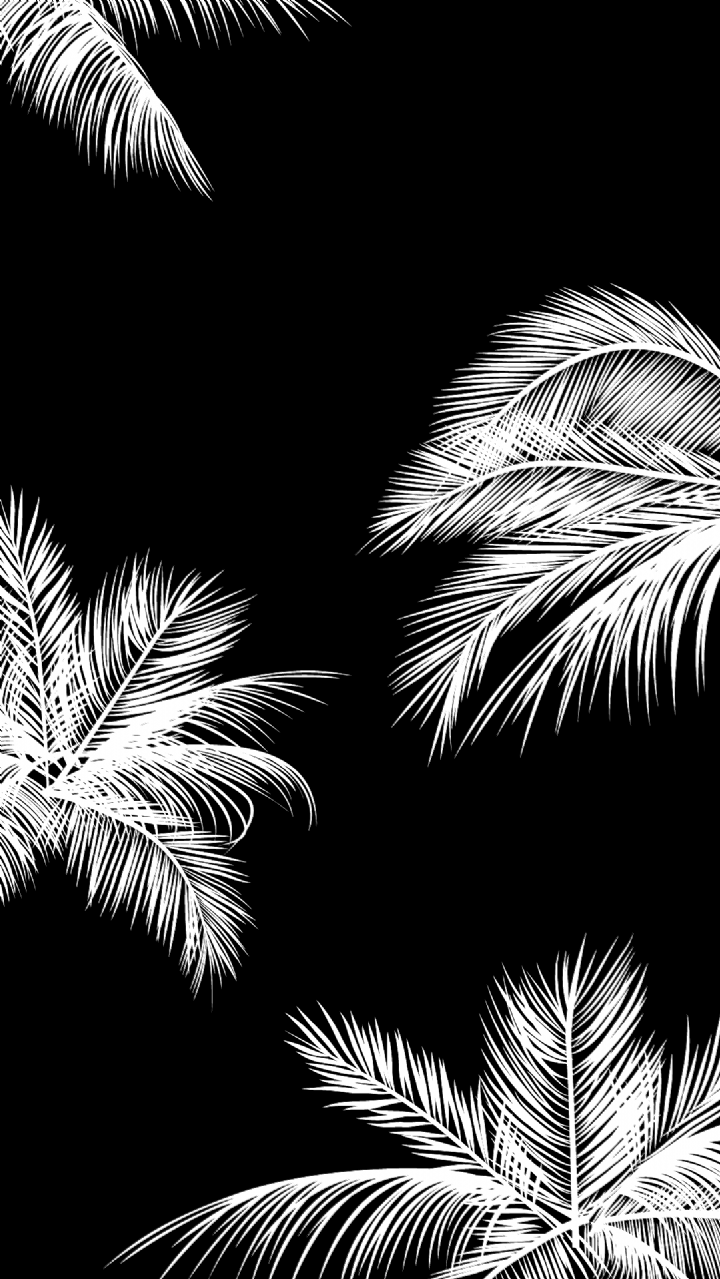 720x1279 Black white palm leaves palm trees iphone background phone