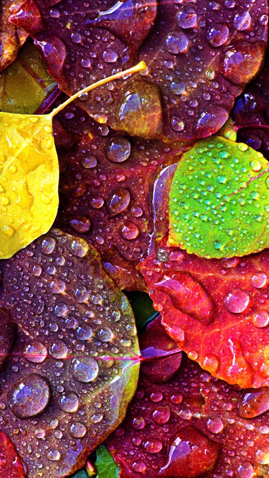 1080x1920 Colorful Phone Wallpaper For Android