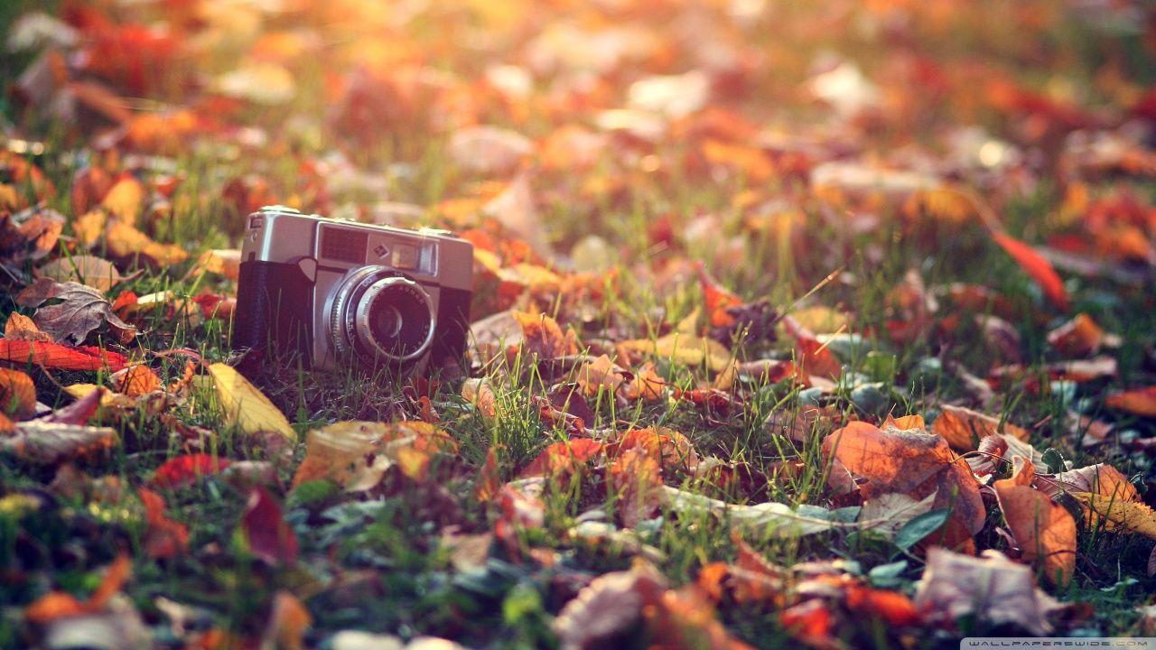 1280x720 Camera Vintage Wallpaper