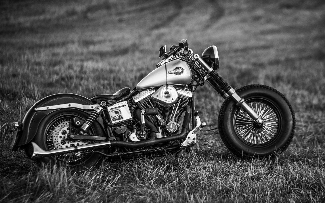 1130x706 Black and White Harley Davidson Motorcycle