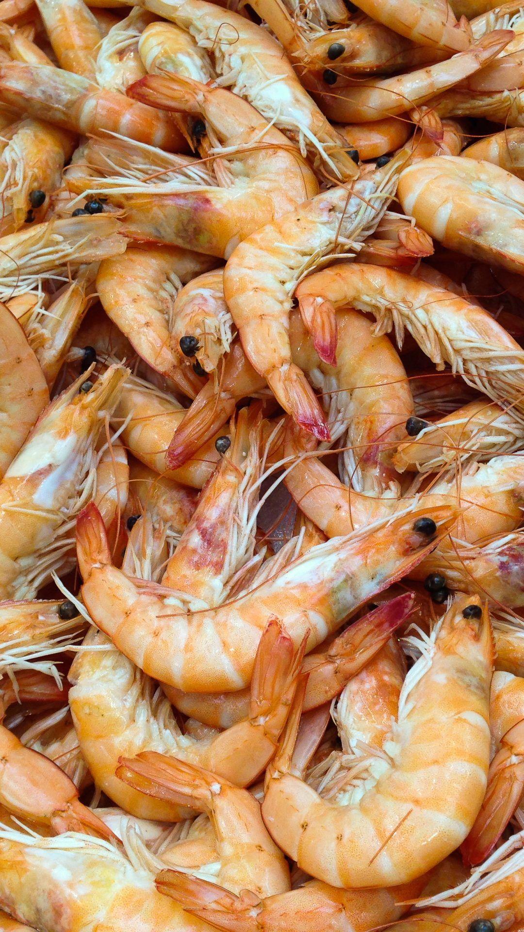 1080x1920 Shrimp Background HD Wallpaperwallpaper.gg