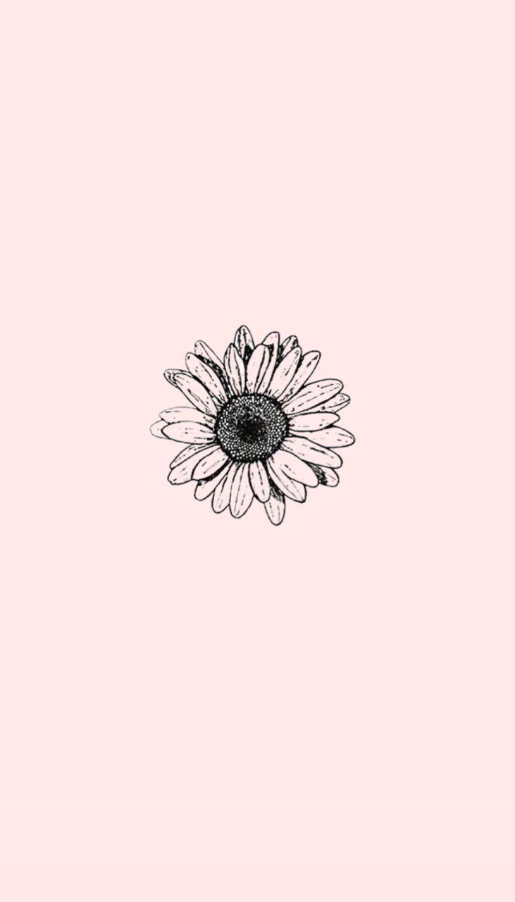 731x1280 שיראל. Background phone wallpaper, Aesthetic