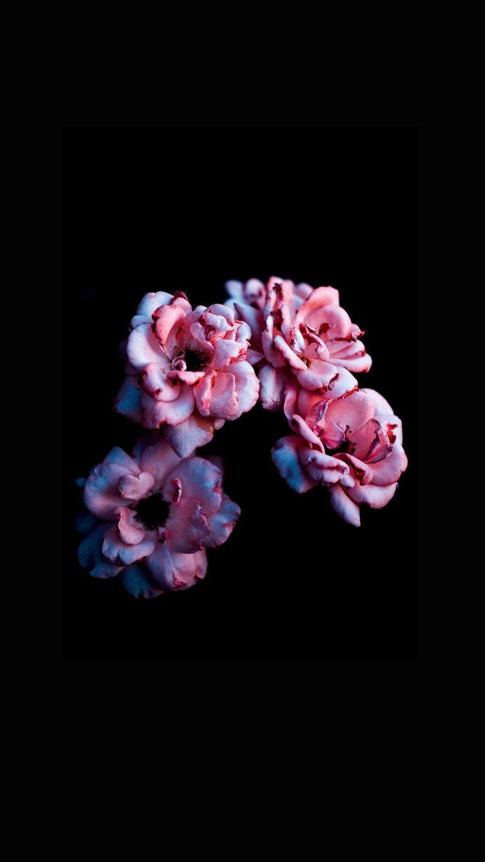 1000x1778 Flower Wallpaper Free HD Wallpaper