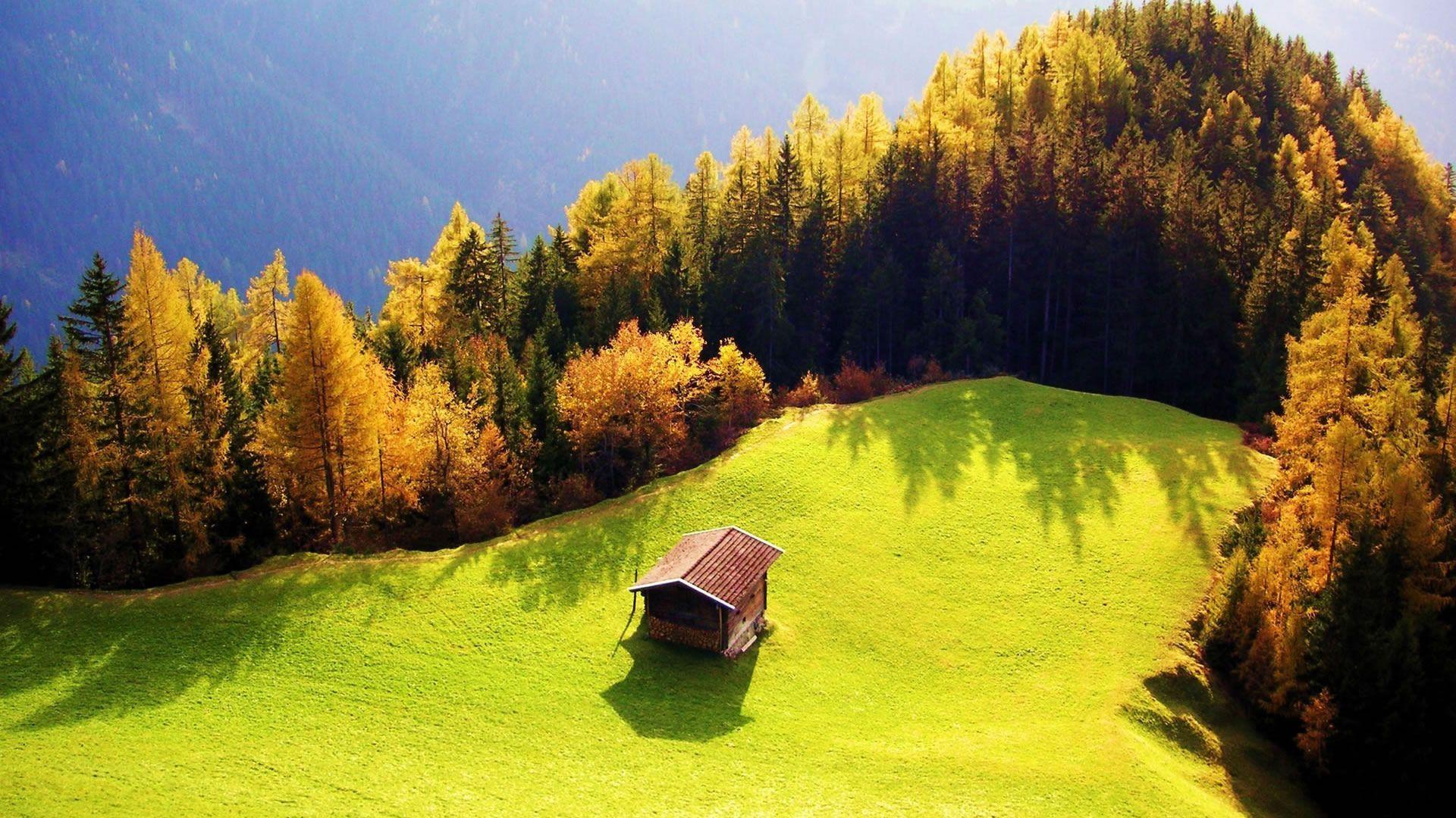 1920x1080 1080p Nature Wallpaper
