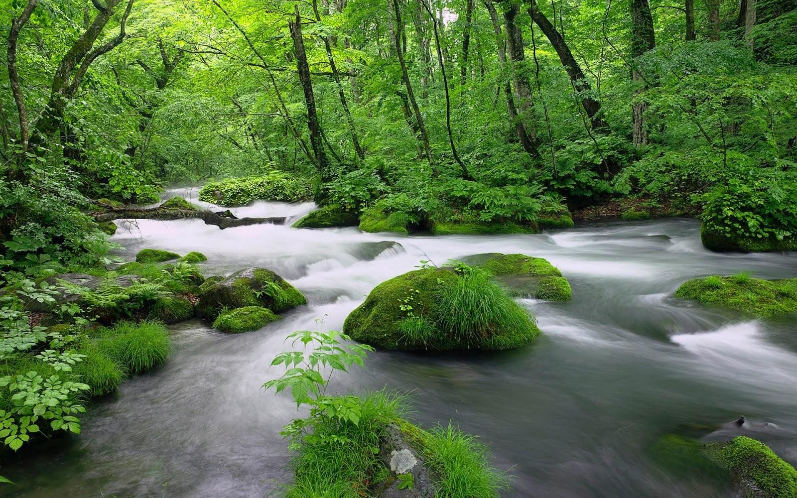 1600x1000 Desktop Wallpaper HD Full Screen Nature