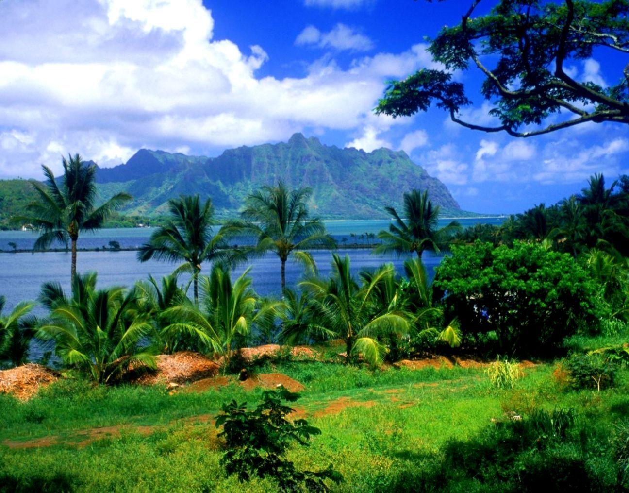 1296x1015 Wallpaper Nature Beauty HD Wallpaper