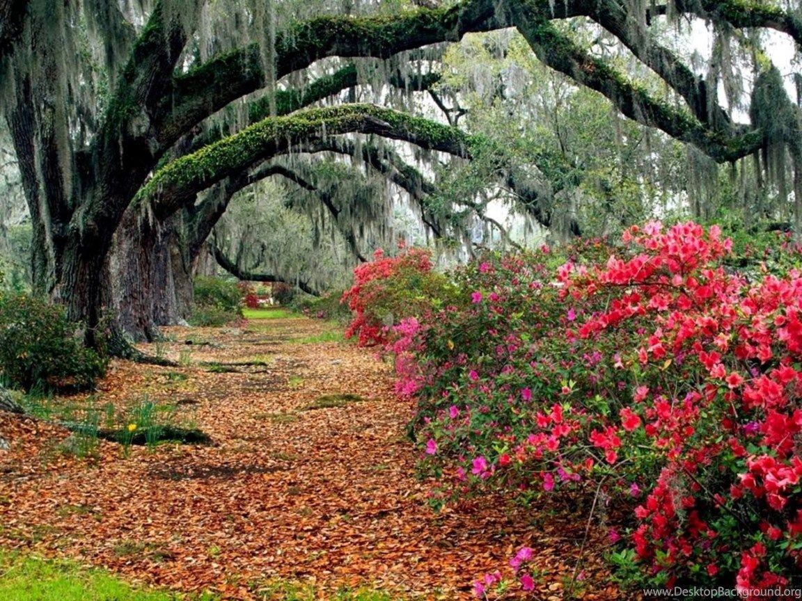 1152x864 Nature Wallpaper Desktop Background Full Screen HD Desktop
