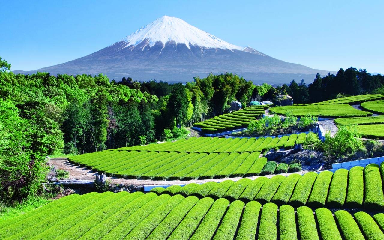 1280x800 Buy Avikalp Exclusive Awi1854 Fuji Nature Beauty Japan Full HD