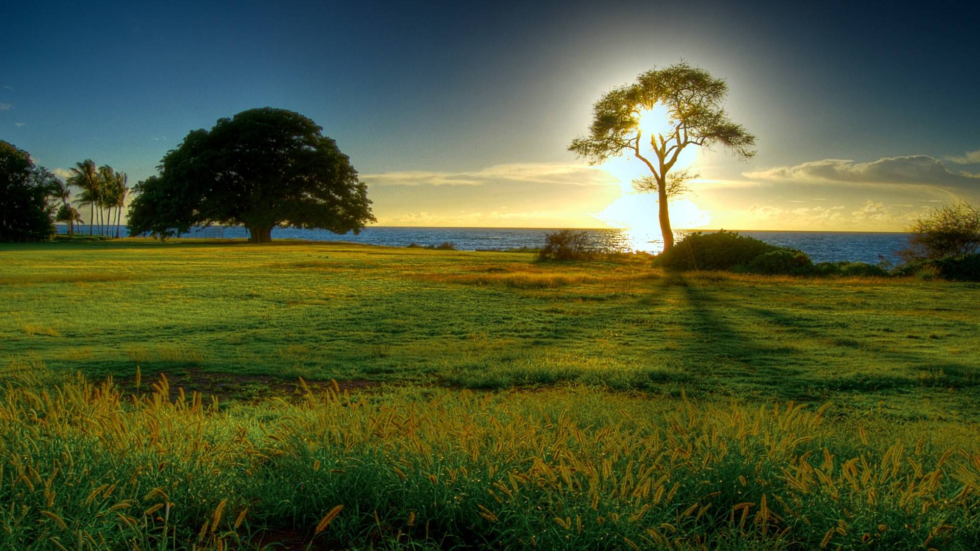 1920x1080 Free photo: Natural Beauty, Calm, Mountain Download