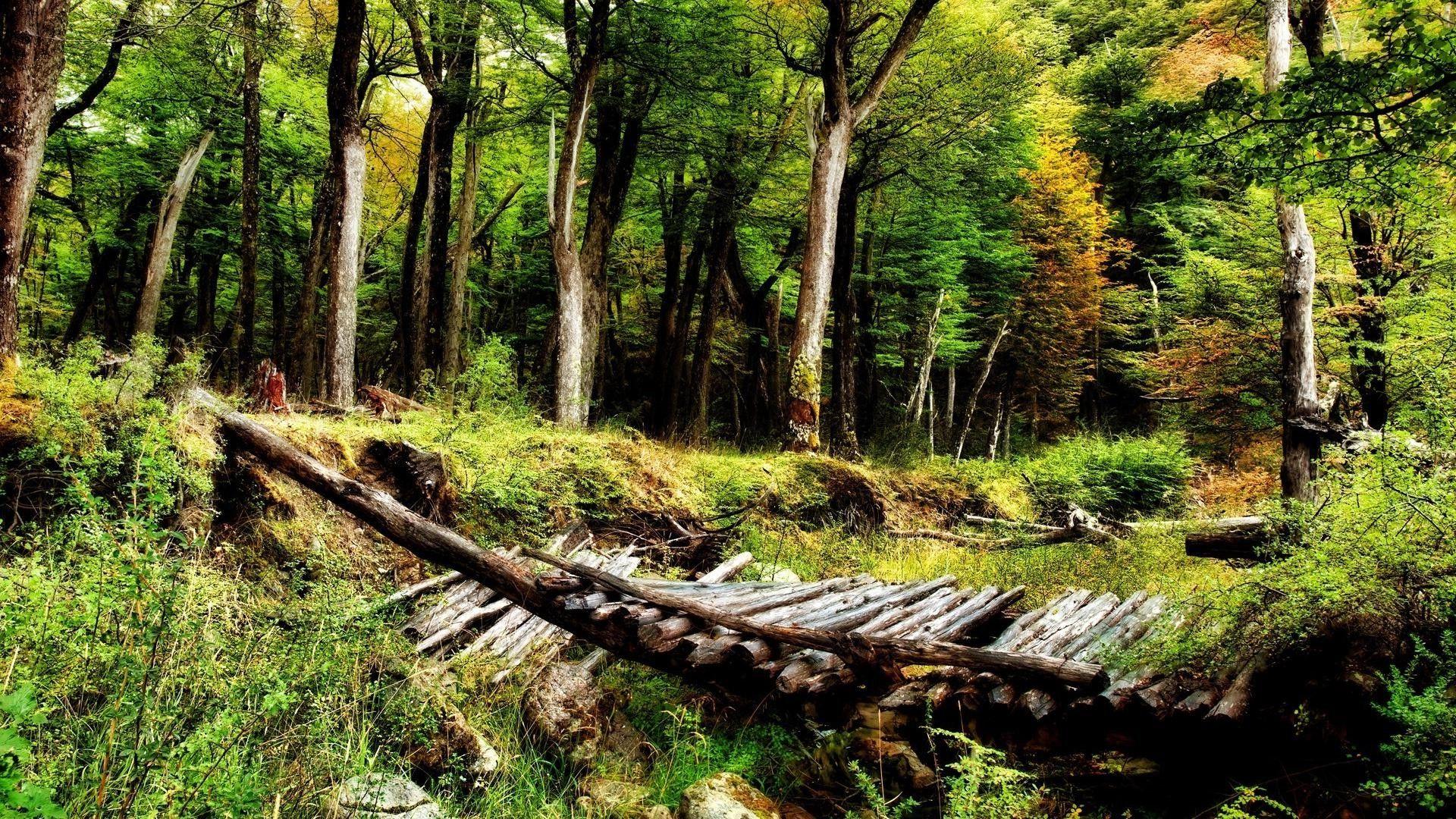 1920x1080 Nature Wallpaper HD Download For Pc Desktop