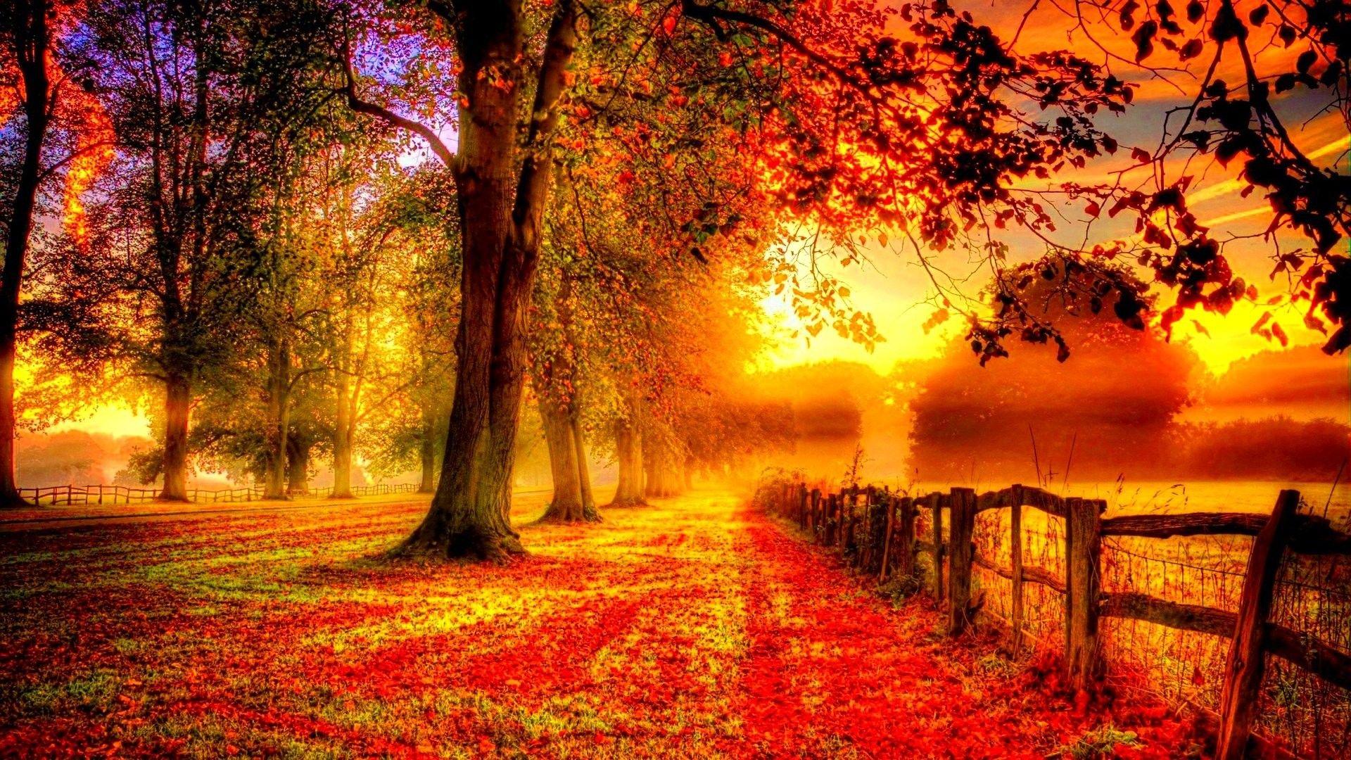 1920x1080 Season, Nature, Mobile, autumn, Color, Nature, Landscape, Fresh