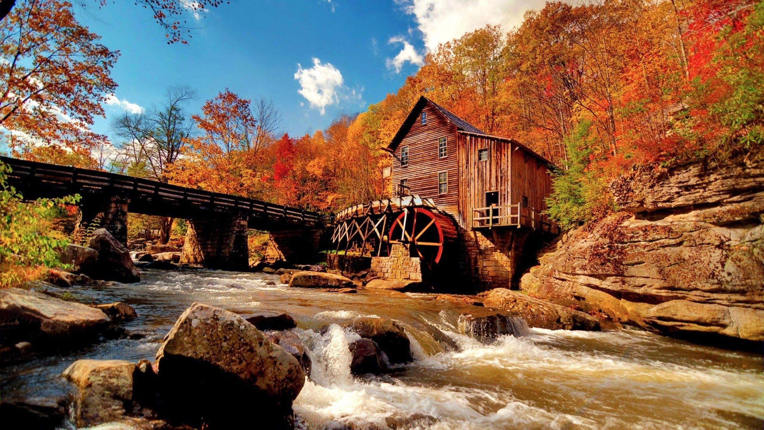 2560x1440 Mill, Wallpaper, Tree, Landscapeautumn, Bridge, River, Nature
