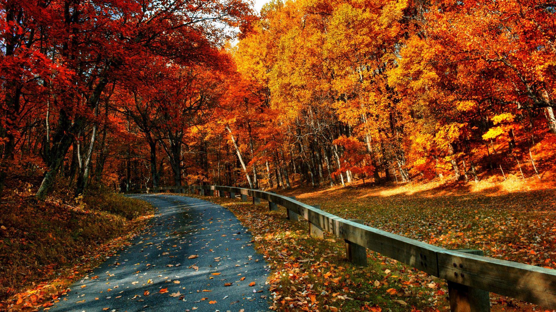Autumn Love Wallpapers - Top Free Autumn Love Backgrounds - WallpaperAccess