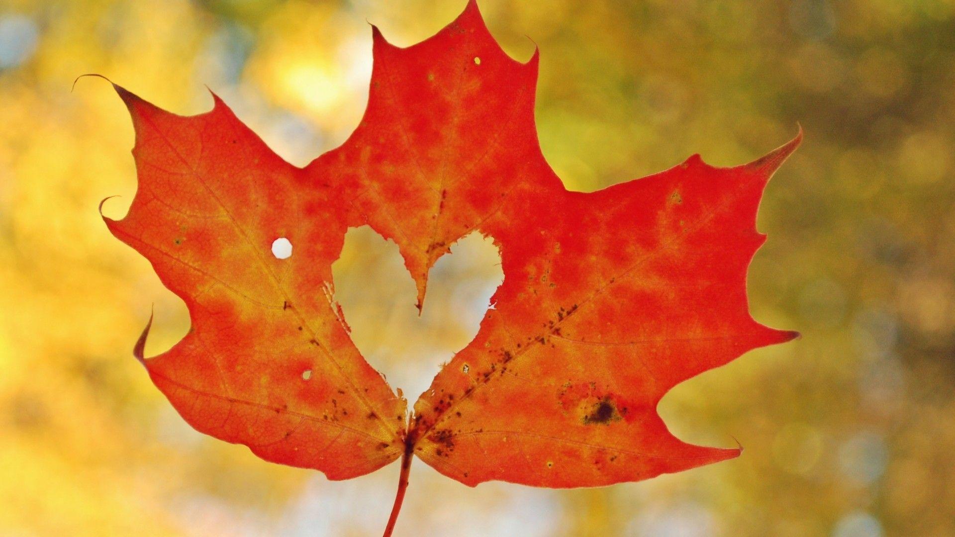 Autumn Love Wallpapers - Top Free Autumn Love Backgrounds - WallpaperAccess