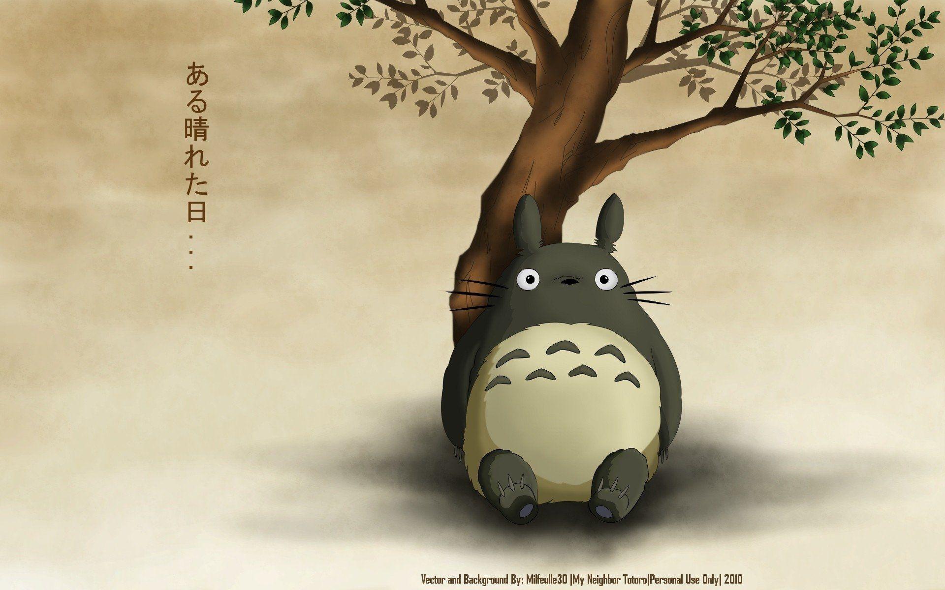 Totoro Desktop Wallpapers - Top Free Totoro Desktop Backgrounds -  WallpaperAccess