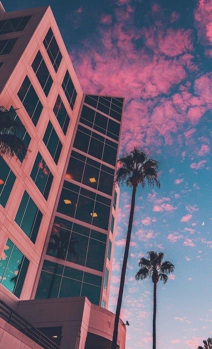 720x1186 palms #sky #background #palm #tumblr #clouds #colourful #trees